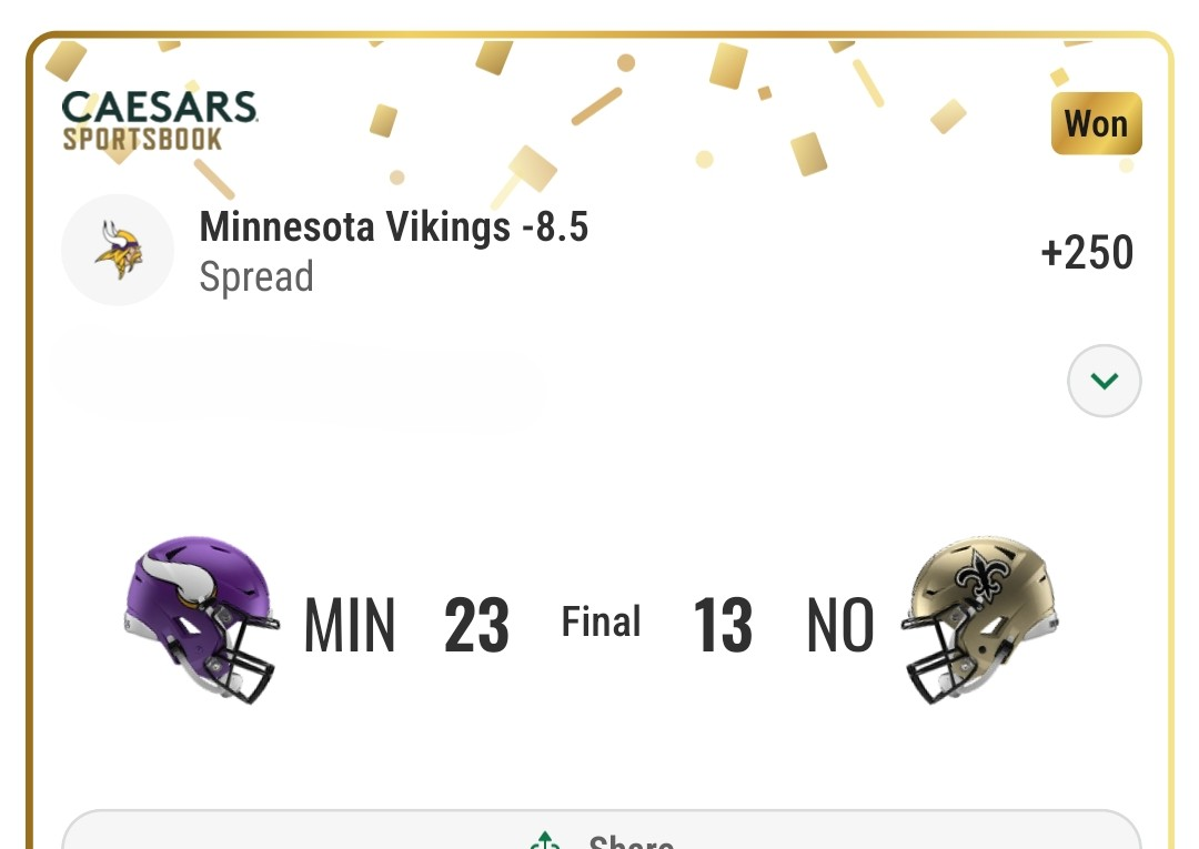 Minnesota Vikings — -8.5 spread